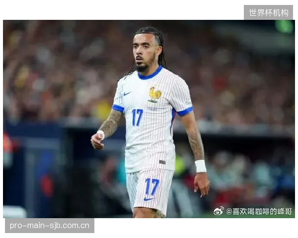 两名世界级边后卫的存在为法国队的边路战术提供了丰富的组合变化。